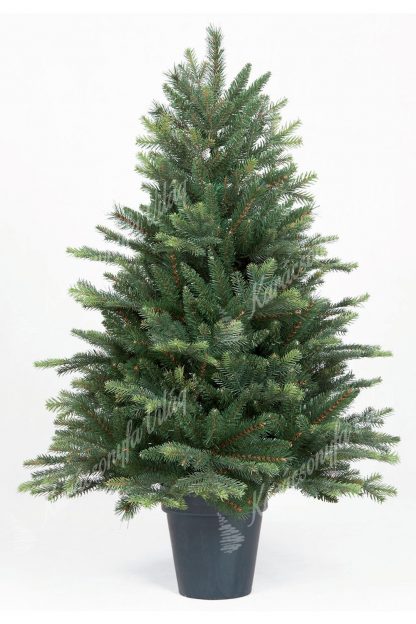 Műkarácsonyfa 3D Normand Jegenyefenyő Cserépben