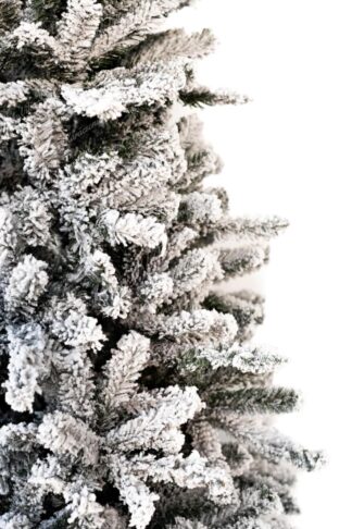 Műkarácsonyfa Északi Lucyfenyő