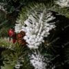 3D-s Havas Jegenyefenyő karácsonyfa cserépben