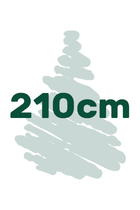 výška vianočných stromčekov 210cm ikona