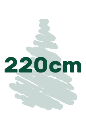 výška vianočných stromčekov 220cm ikona
