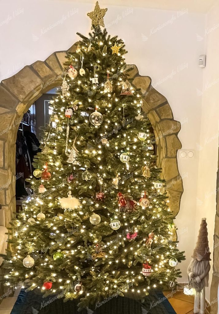 Amerikai karácsonyfa: 3D Alpesi Lucfenyő XL