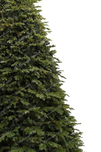 Gigantikus karácsonyfa 3D-s Exkluzív Lucfenyő