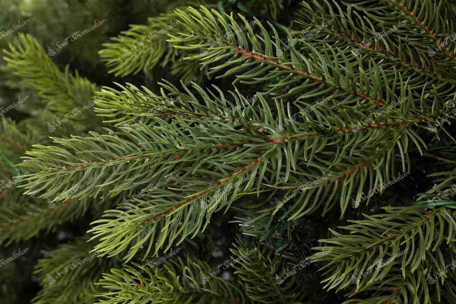 3D Skandináv Lucfenyő 270cm