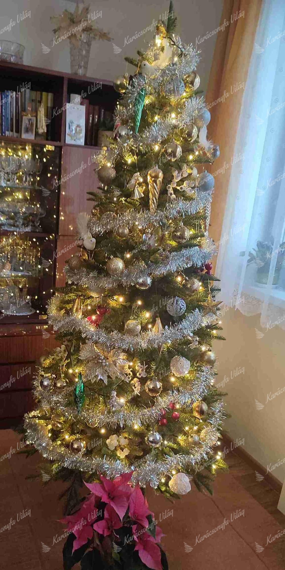 3D-s Karcsú Kaukázusi Jegenye műfenyő 180cm