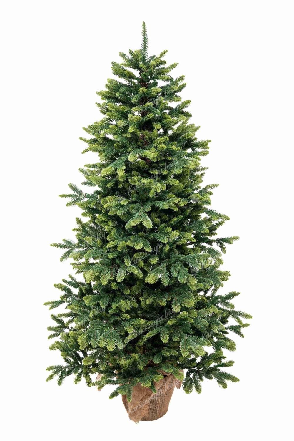 FULL 3D Szicíliai Jegenyefenyő cserépben 150cm