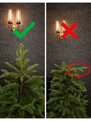 Hiányzik a fa csúcsa